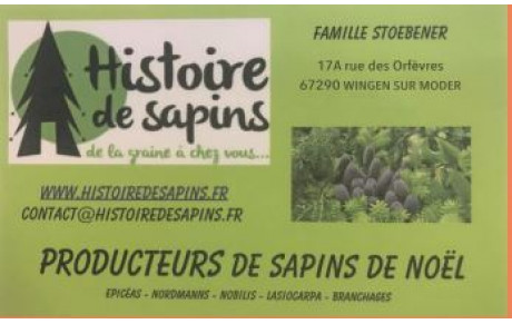 Histoire de sapins